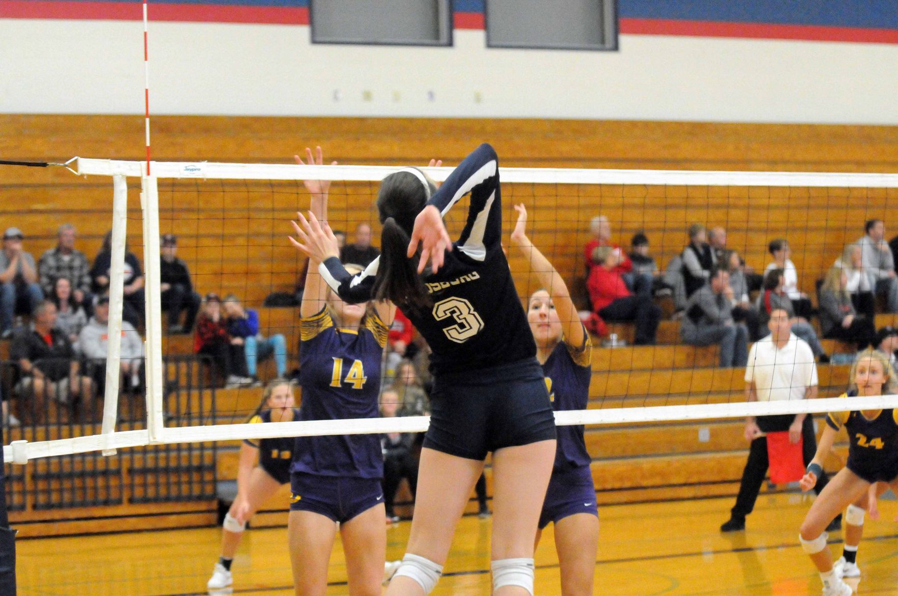100918-reed-sports-gallery097